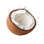 odorelle coconut